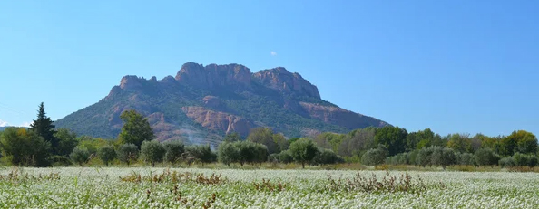 Roquebrune rock