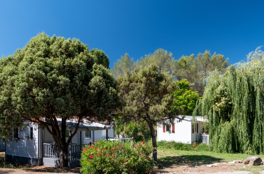Mobile homes and family lodges at Oasis Village