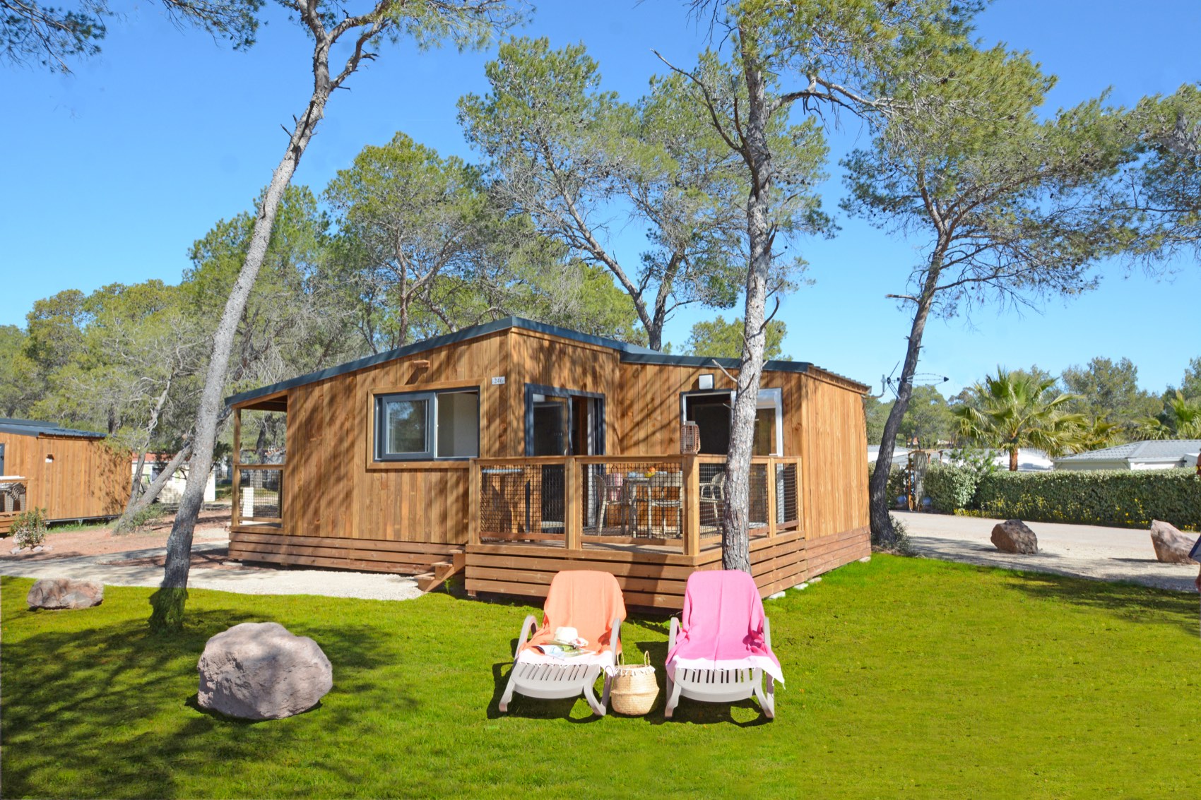 Chalet en bois et transats sur la pelouse, sous les pins