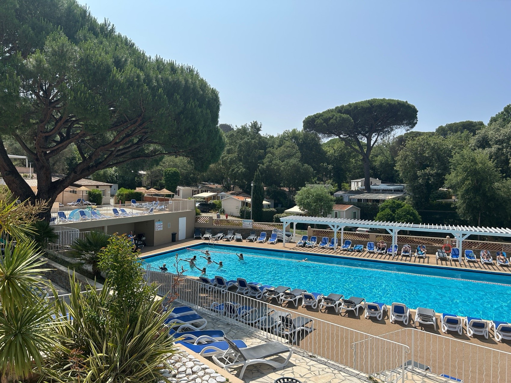La piscine du camping Golfe de St-Tropez sous les pins parasols, à Gassin
